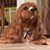 Sharon Longman's profile image