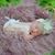 Madison Zeman's profile image