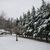 Teresa Utt Akers's profile image