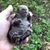 Lori Jeanna Forsley's profile image