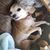 Holly Outland's profile image