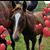 Gina Skinner's profile image