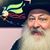 William A Stofer's profile image