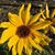 Simone M. Zimmer's profile image