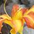 Emily Boyce's profile image