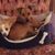 Jeff Hickey's profile image
