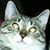 James Barchi's profile image