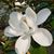 Catherine Ould's profile image