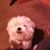 Vicky Peterson's profile image