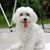 Lisa Mooty's profile image