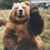 Benjamin Wilbur's profile image