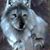 Claire Shauf's profile image
