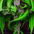 Marilyn Hayes's profile image