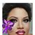 Vashti Yvette's profile image