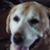 Kerry Miller's profile image