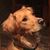 Joan Damron's profile image
