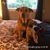Leona Turgeon's profile image