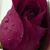 Geneva Smith's profile image