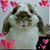 Victor Garcia's profile image