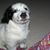 Ann Stevens's profile image