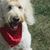 Pat Norlie's profile image