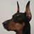 Richard McGinnis's profile image