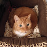 Dawna W.'s profile image