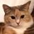 Len Haddrill's profile image