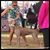 Diane Davis's profile image