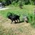 Dianna Eastman Marsella's profile image