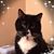 Cindi Green's profile image