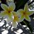 Joan Carpenter's profile image