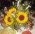 Debi Lee's profile image