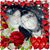 Colleen Orkwiszewski's profile image