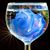 Bernice Stolaroff's profile image