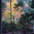 Nancy Sherrow's profile image