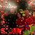 Yarelin Goyanes's profile image
