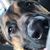 Debbie Lynn's profile image