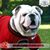 Russ Frazier's profile image