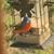 Barbara L Clark's profile image