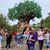 Lupe Zepeda's profile image
