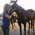 Millie Hall Revelle's profile image