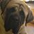 Stacy Monarch Effinger's profile image