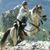 Dawn Kerr's profile image