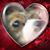Michelle Krogstad's profile image