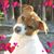 Denise Bristow's profile image