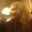 Terri Brion's profile image