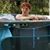 Christy Thomas Johns's profile image