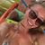 Christin Hillis's profile image