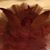 Debbie Richcreek's profile image